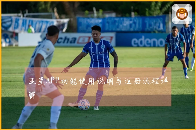 亚星APP功能使用说明与注册流程详解