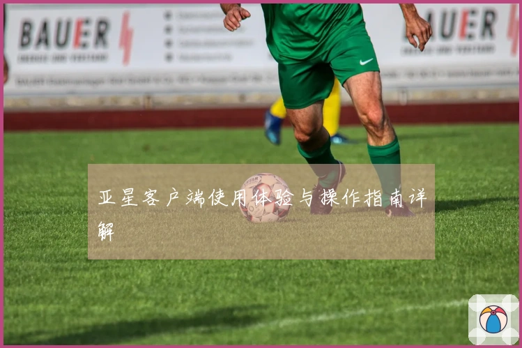 亚星客户端使用体验与操作指南详解