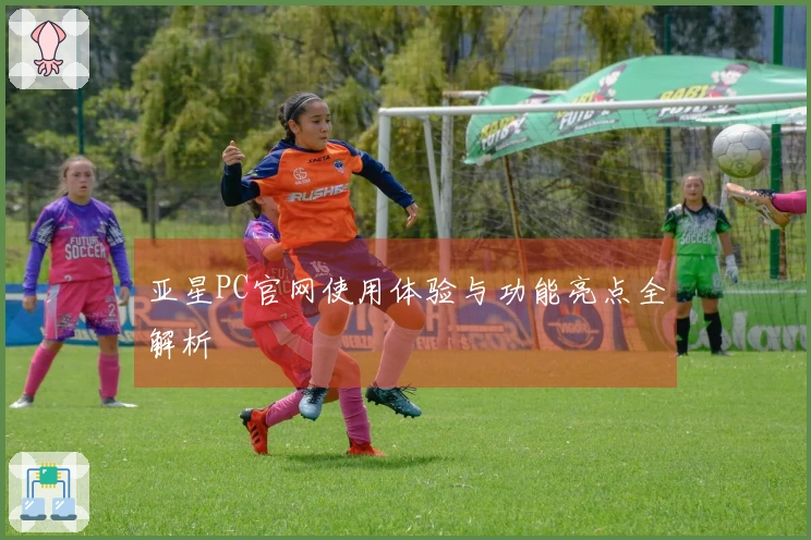 亚星PC官网使用体验与功能亮点全解析